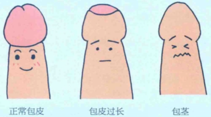 1689329340111960.png 1689329340111960.png