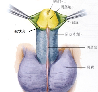 1689329713235426.jpg 图片2.jpg
