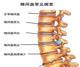 微信图片_20230802093606.png